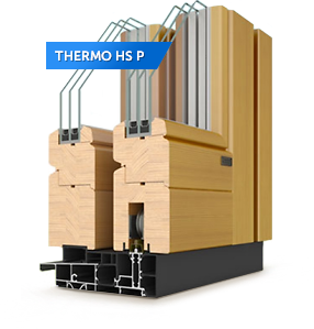 Thermo HS P